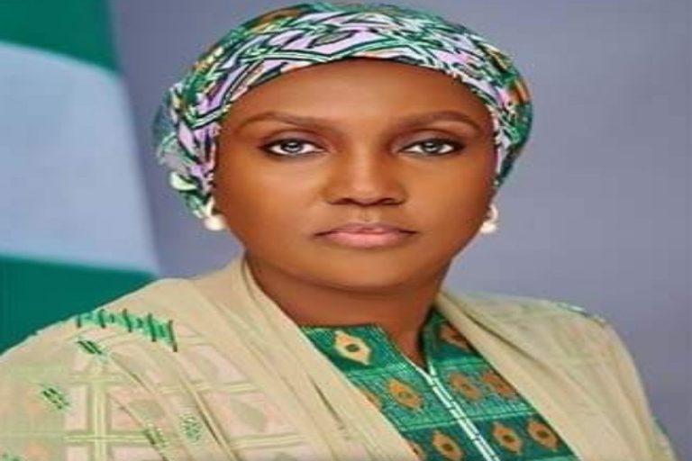 NEMA Activates Flood Preparedness Along River Niger