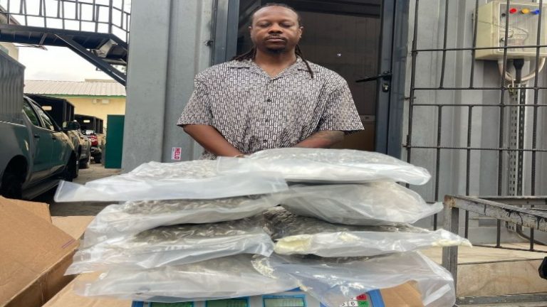 Lekki, Italy Based Businessmen Arrested Over Illicit Drug Shipments To Nigeria, Europe Lekki, Italy Based Businessmen Arrested Over Illicit Drug Shipments To Nigeria, Europe
