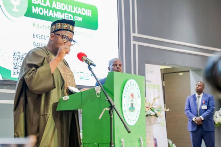 Bauchi State, NITDA Launch Digital Literacy And Skills Framework To Drive Innovation